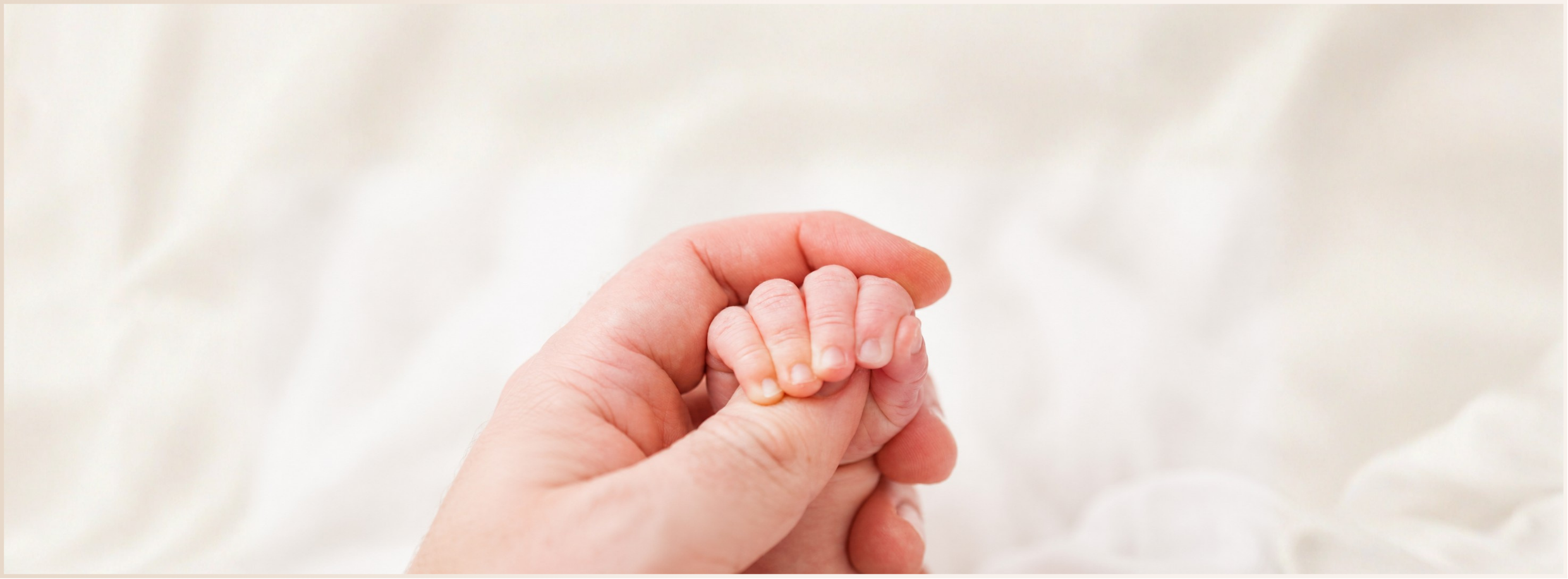 Newborn baby hand gently held
